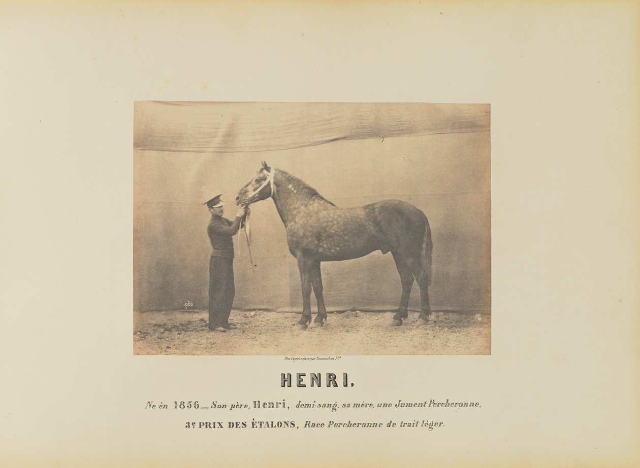 Henri od Adrien Alban Tournachon