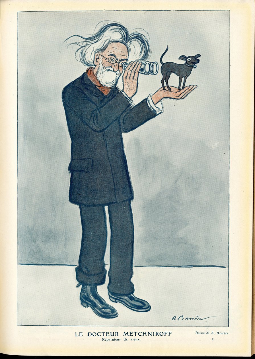 Fantasio od Adrien Barrere