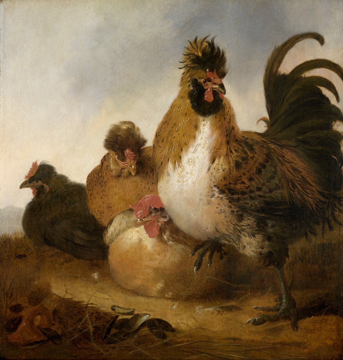 Kohout a slepice (olej na desce) od Aelbert Cuyp