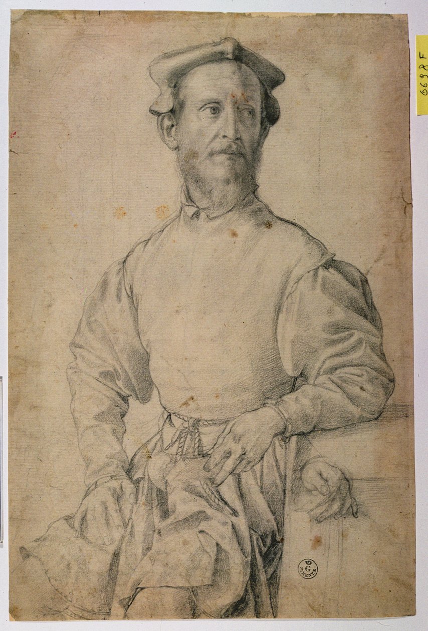 Portrét Jacopa Pontorma (1497-1557) (černá křída na papíře) od Agnolo Bronzino