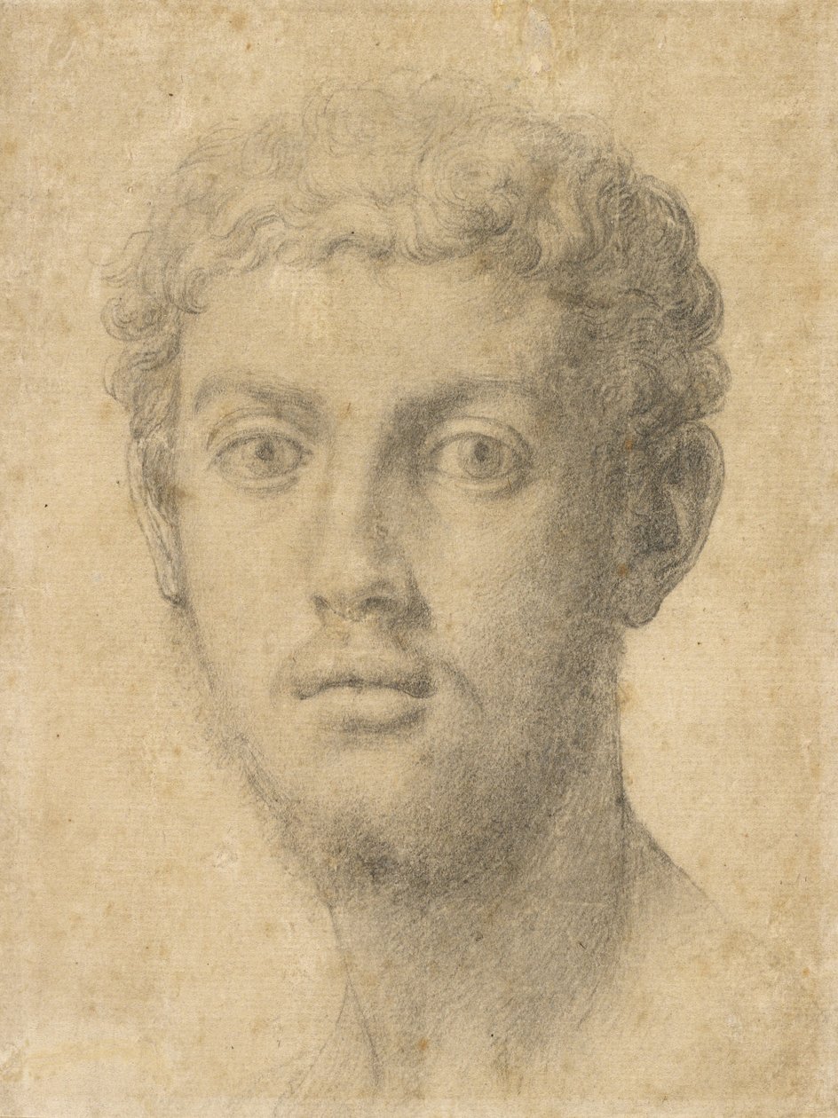 Hlava muže od Agnolo Bronzino