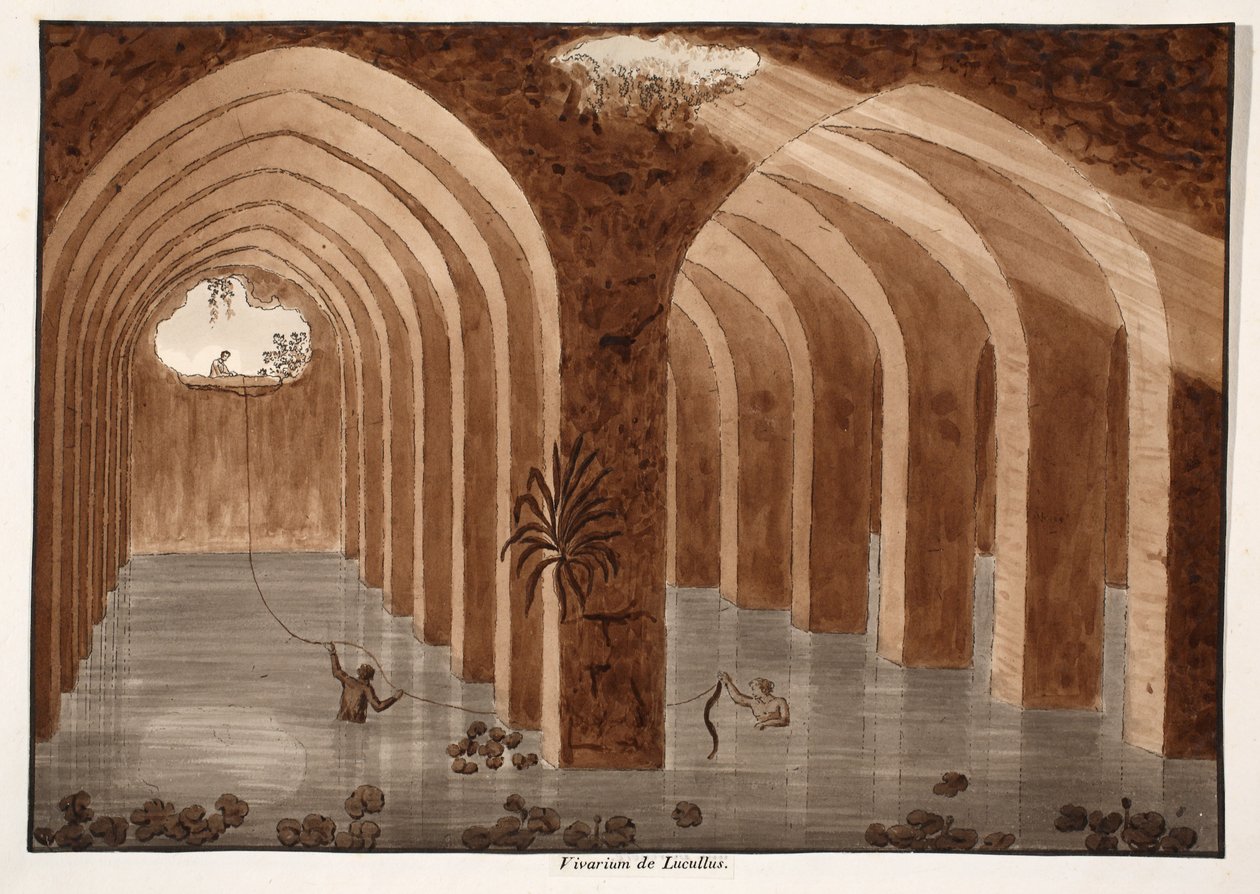 The Vivarium of Lucullus, 1833 (lept s hnědým lavírováním) od Agostino Tofanelli