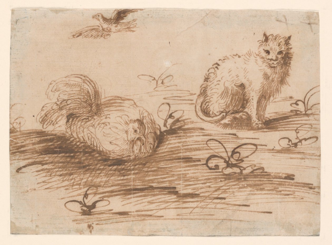 Kočka a nastavení slepice od Agostino Carracci