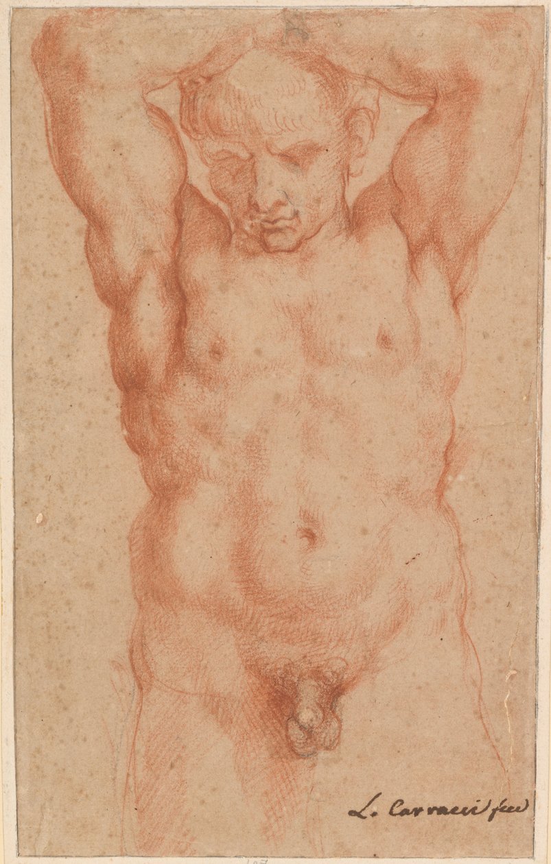 Mužský akt od Agostino Carracci