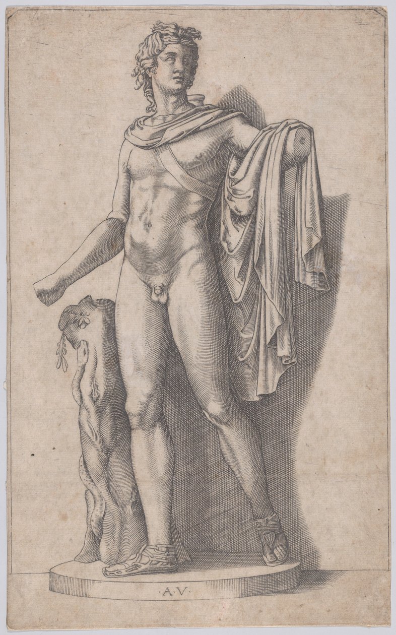 Apollo, ca. 1514-36. od Agostino Veneziano