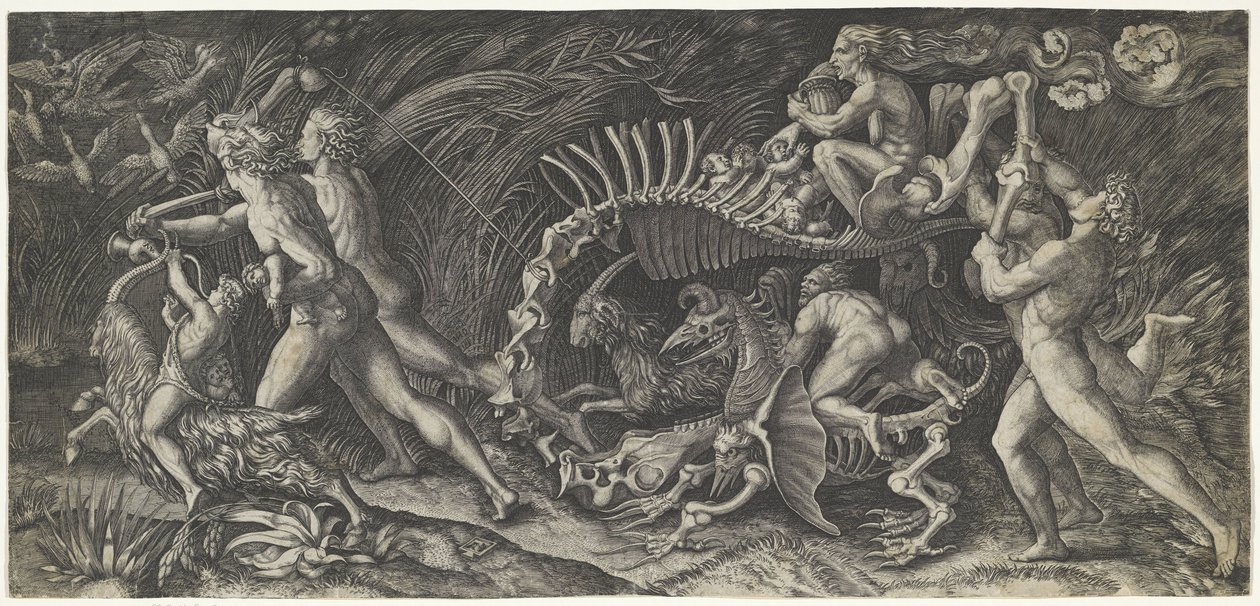 Het karkas Stregozzo od Agostino Veneziano