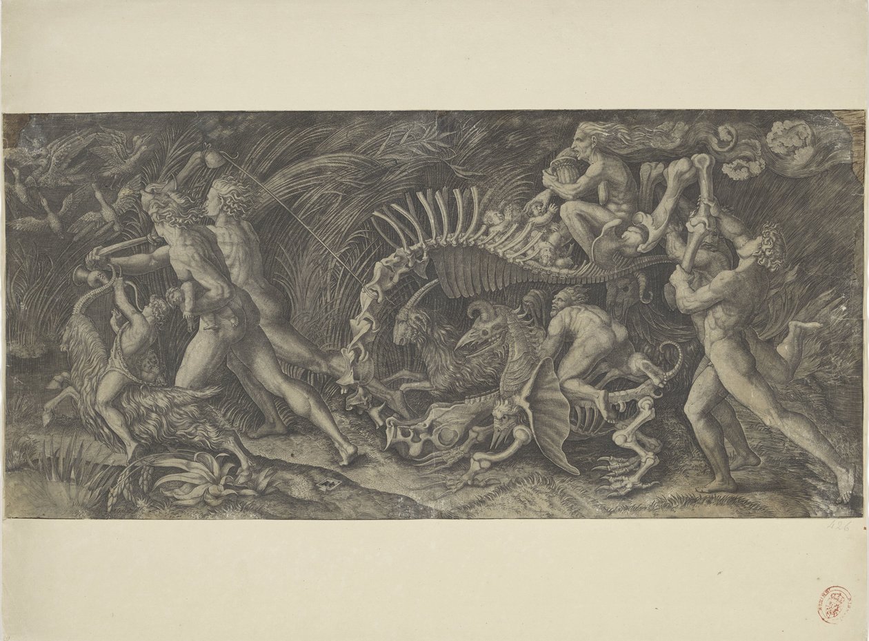 Het karkas Stregozzo od Agostino Veneziano