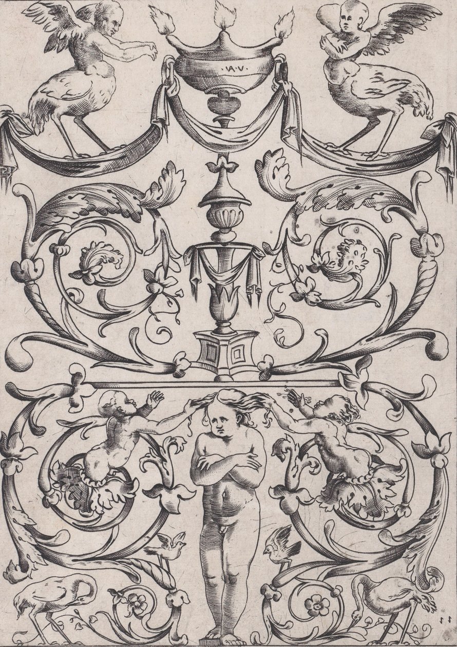 Ornamental Panel, ca. 1514-36. od Agostino Veneziano