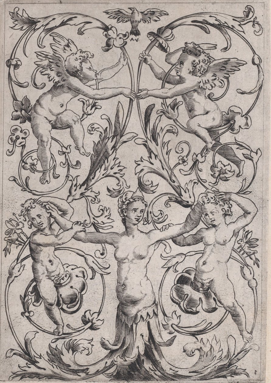 Ornamental Panel, ca. 1514-36. od Agostino Veneziano