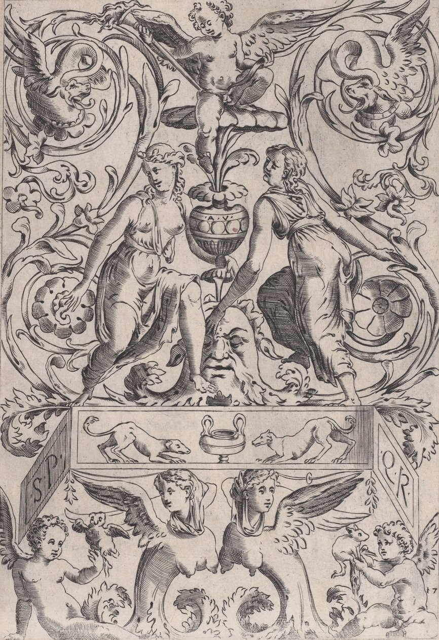 Ornamental Panel, ca. 1514-36. od Agostino Veneziano