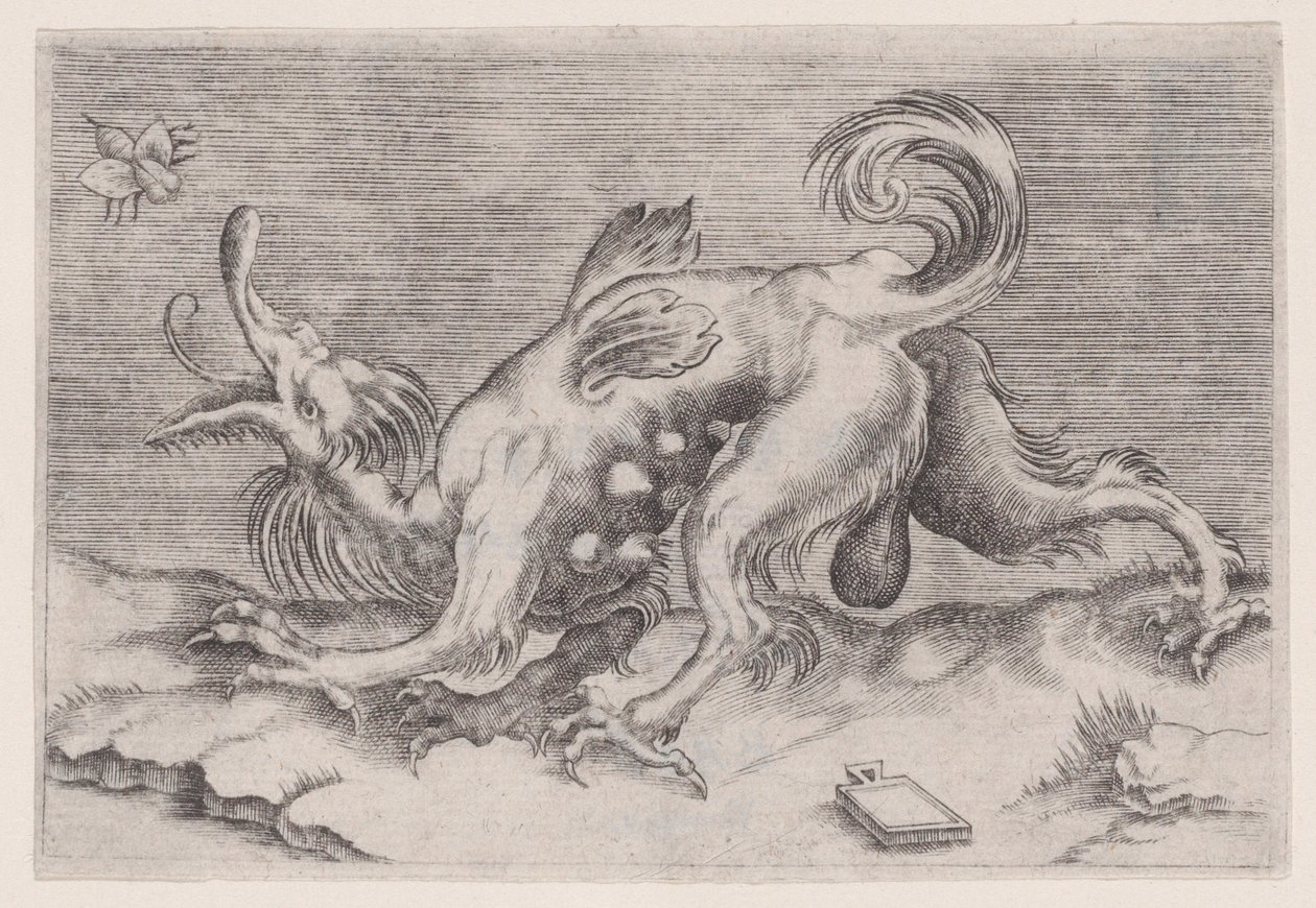 Drak a včela, ca. 1514-36. od Agostino Veneziano