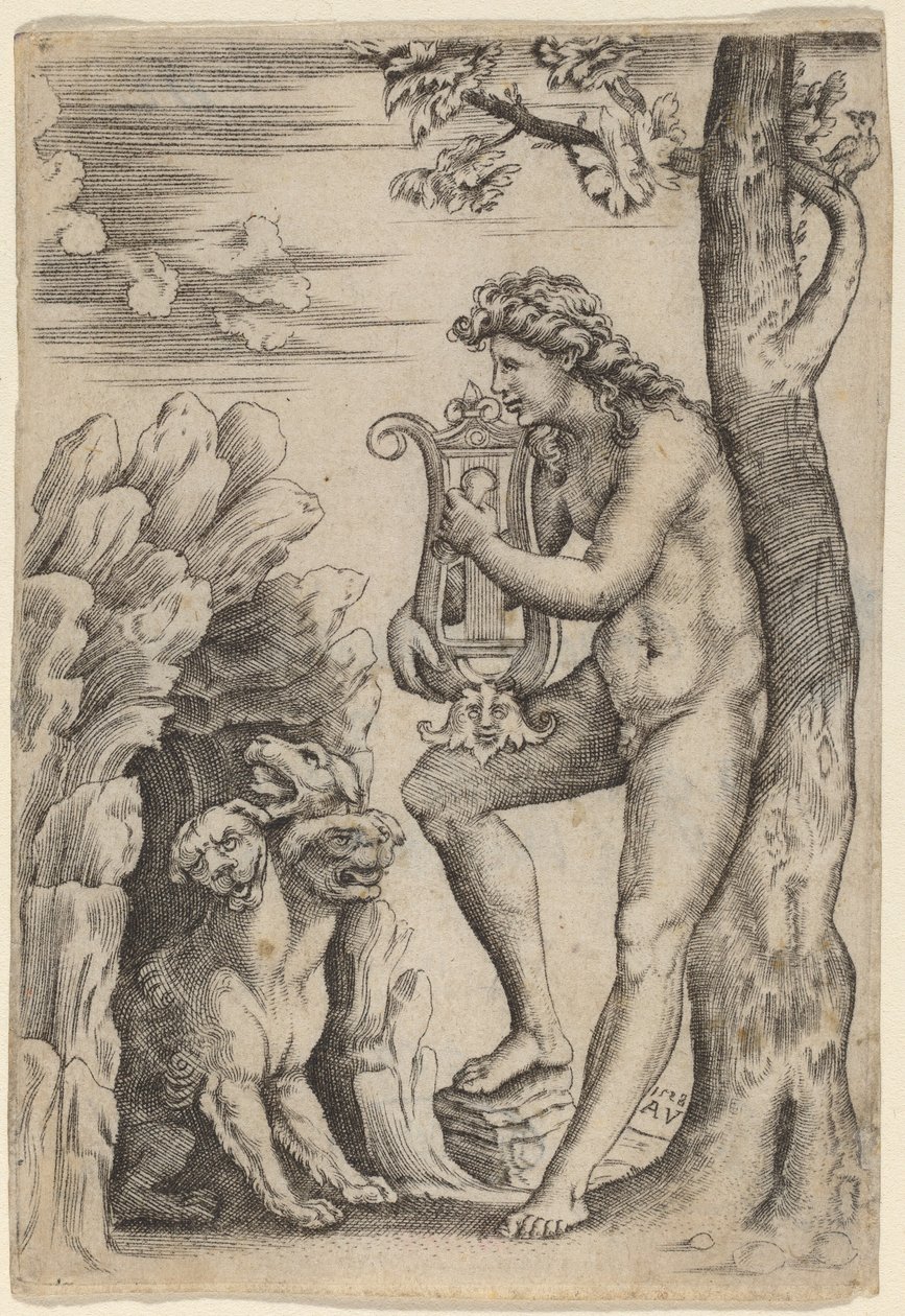 Orfeus od Agostino dei Musi