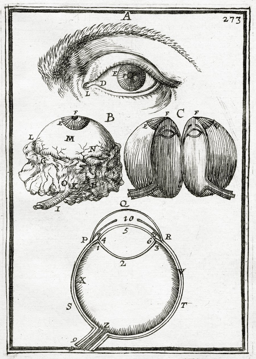 Ilustrace z La Geometrie Pratique 1702, od Alain Manesson Mallet