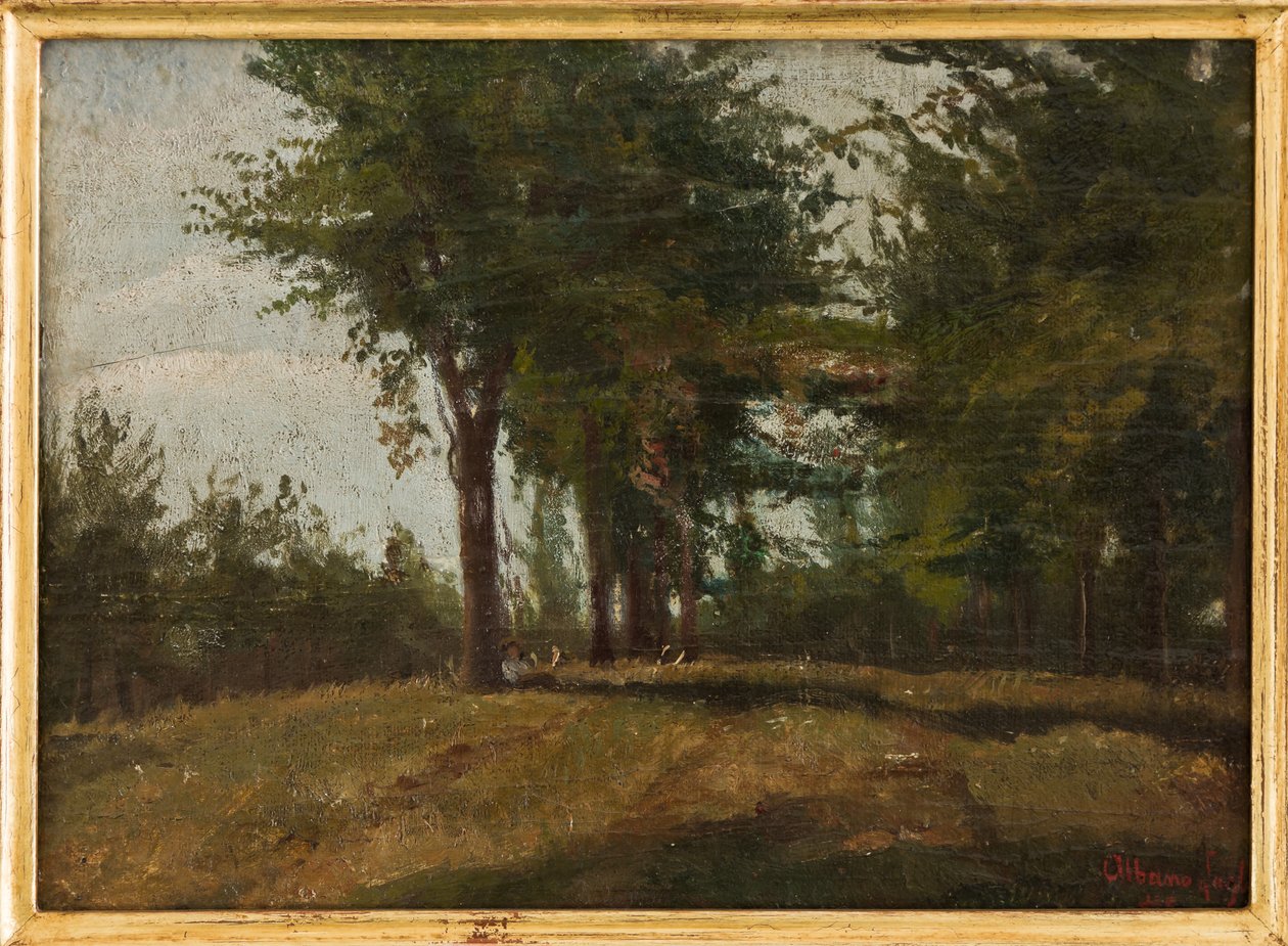 The Planted Field (olej na palubě) od Albano Lugli Carpi