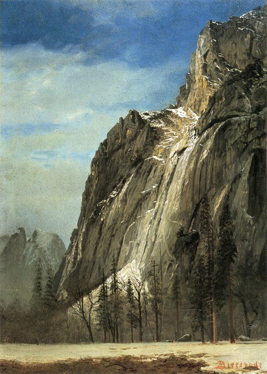 Cathedral Rocks, Yosemity, asi 1872 (olej na papíře na plátně) od Albert Bierstadt