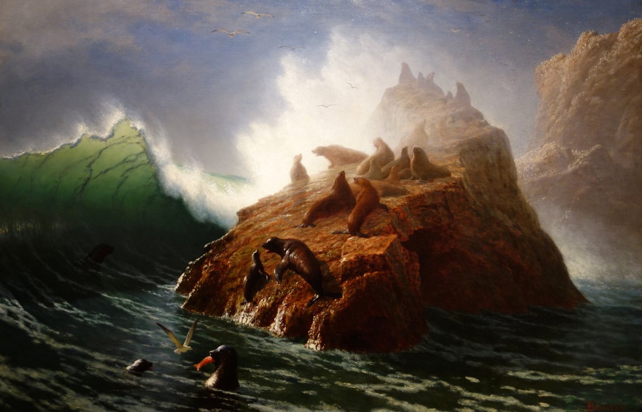 Seal Rock od Albert Bierstadt