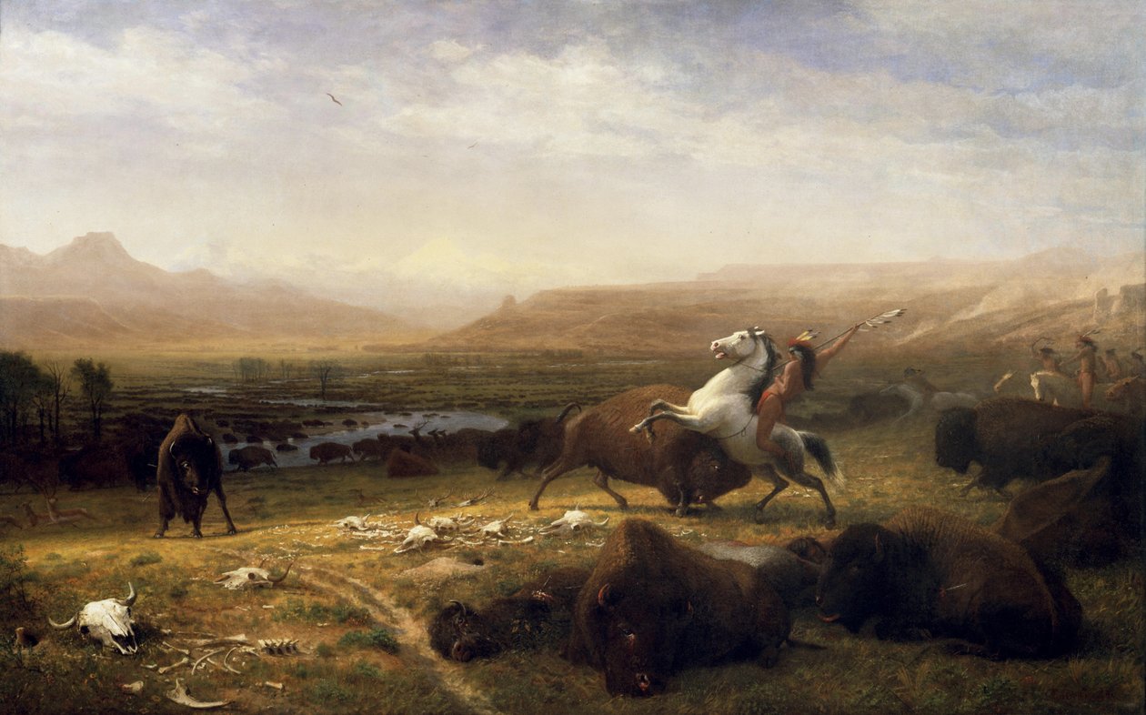 Poslední z Buffala od Albert Bierstadt