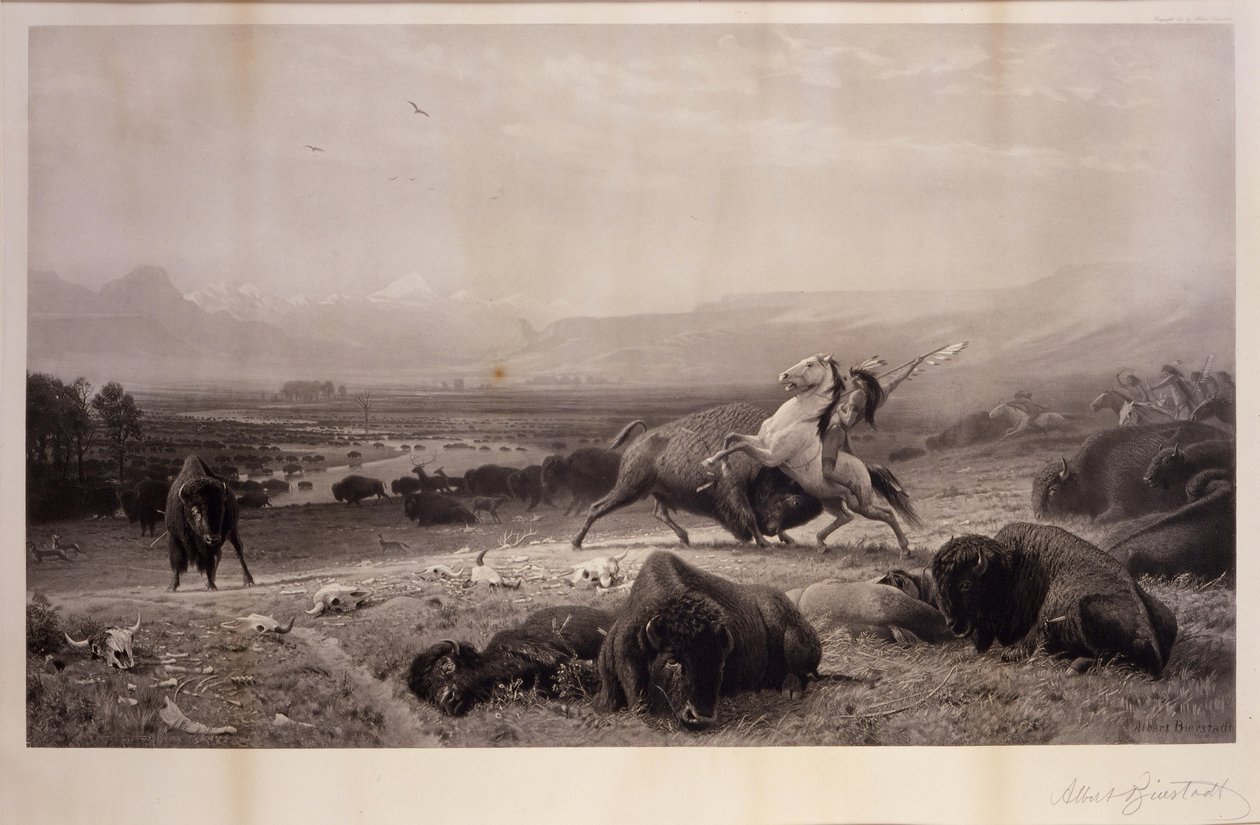 Poslední z Buffala od Albert Bierstadt