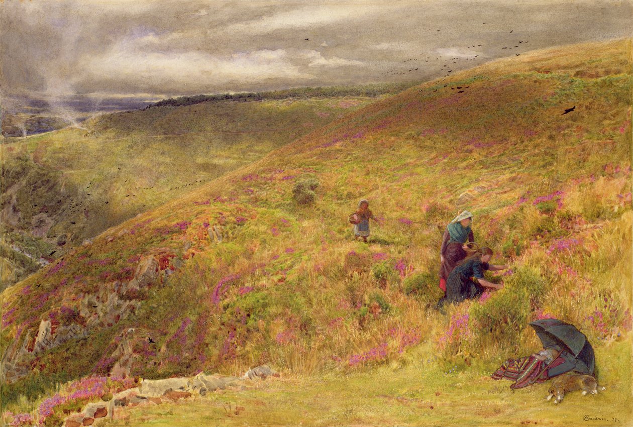 On the South Downs, 1879 (wc, barva karoserie, inkoust a škrábání na papíře) od Albert Goodwin