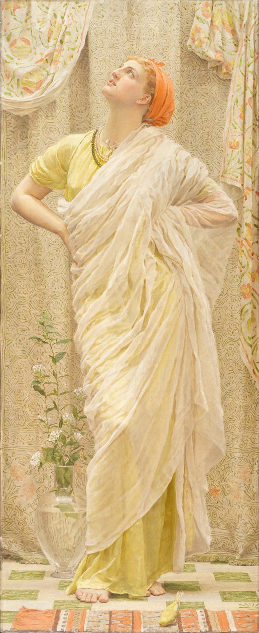 Kanárské ostrovy od Albert Joseph Moore