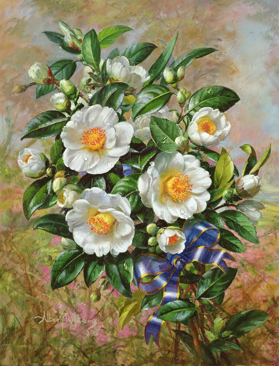 Coronation Camelia ze série Golden Jubilee, 2002 od Albert Williams
