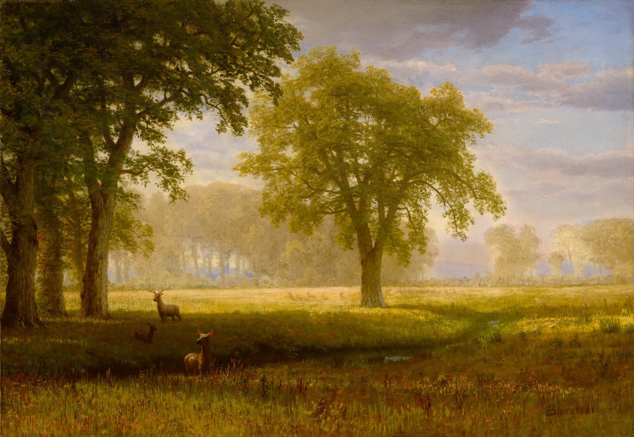 Los v Oak Grove (Tuolumne Meadows) od Albert Bierstadt
