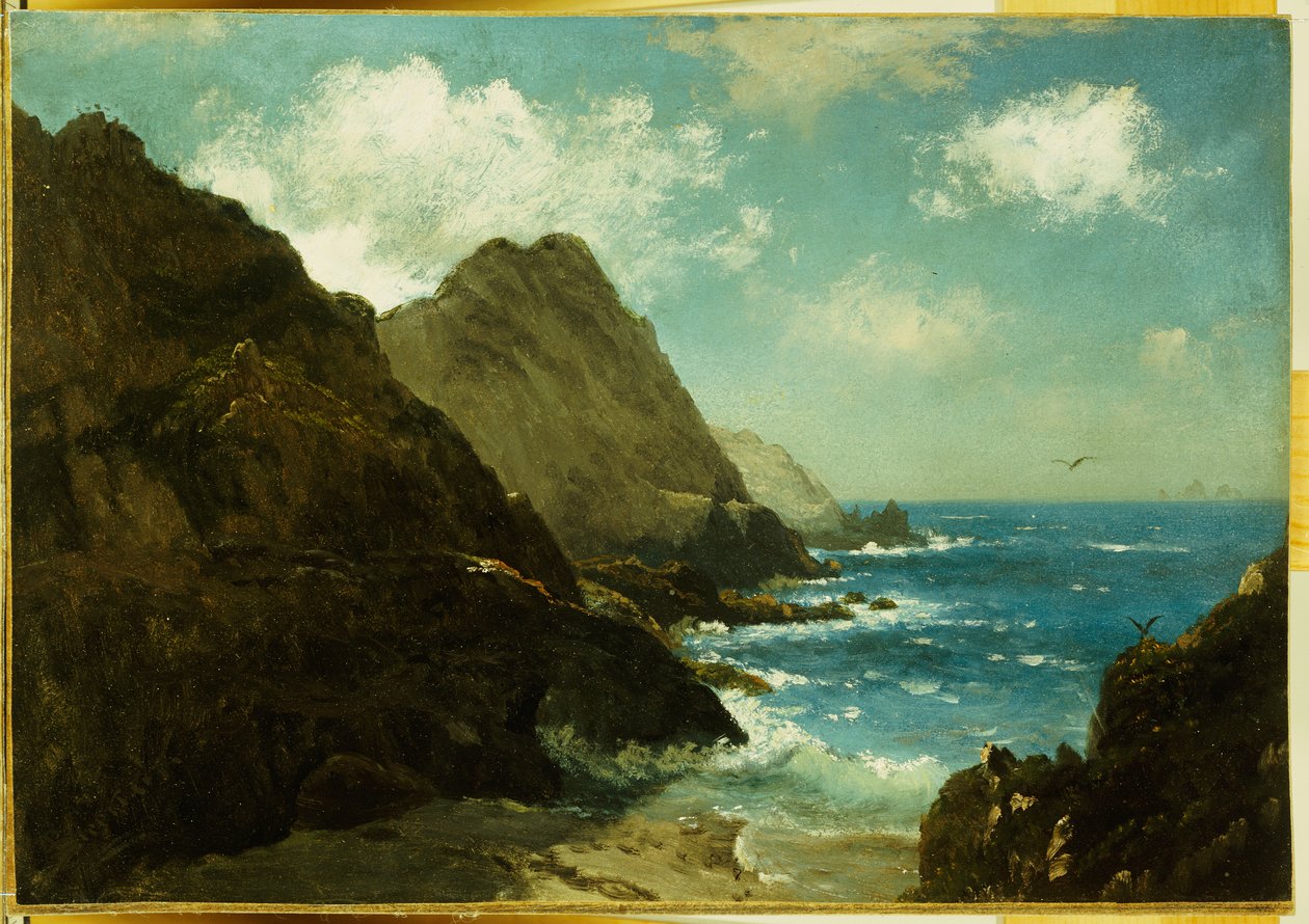 Farallonské ostrovy od Albert Bierstadt