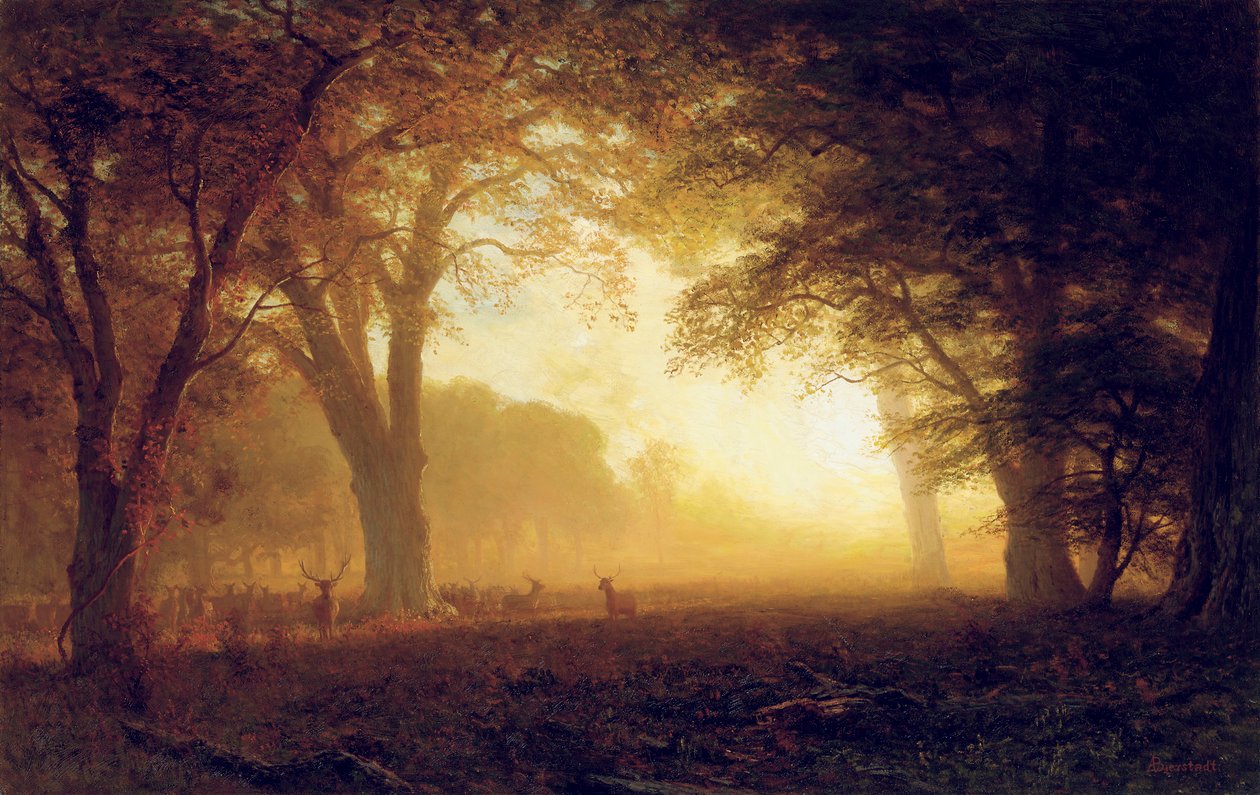 Zlaté světlo Kalifornie od Albert Bierstadt