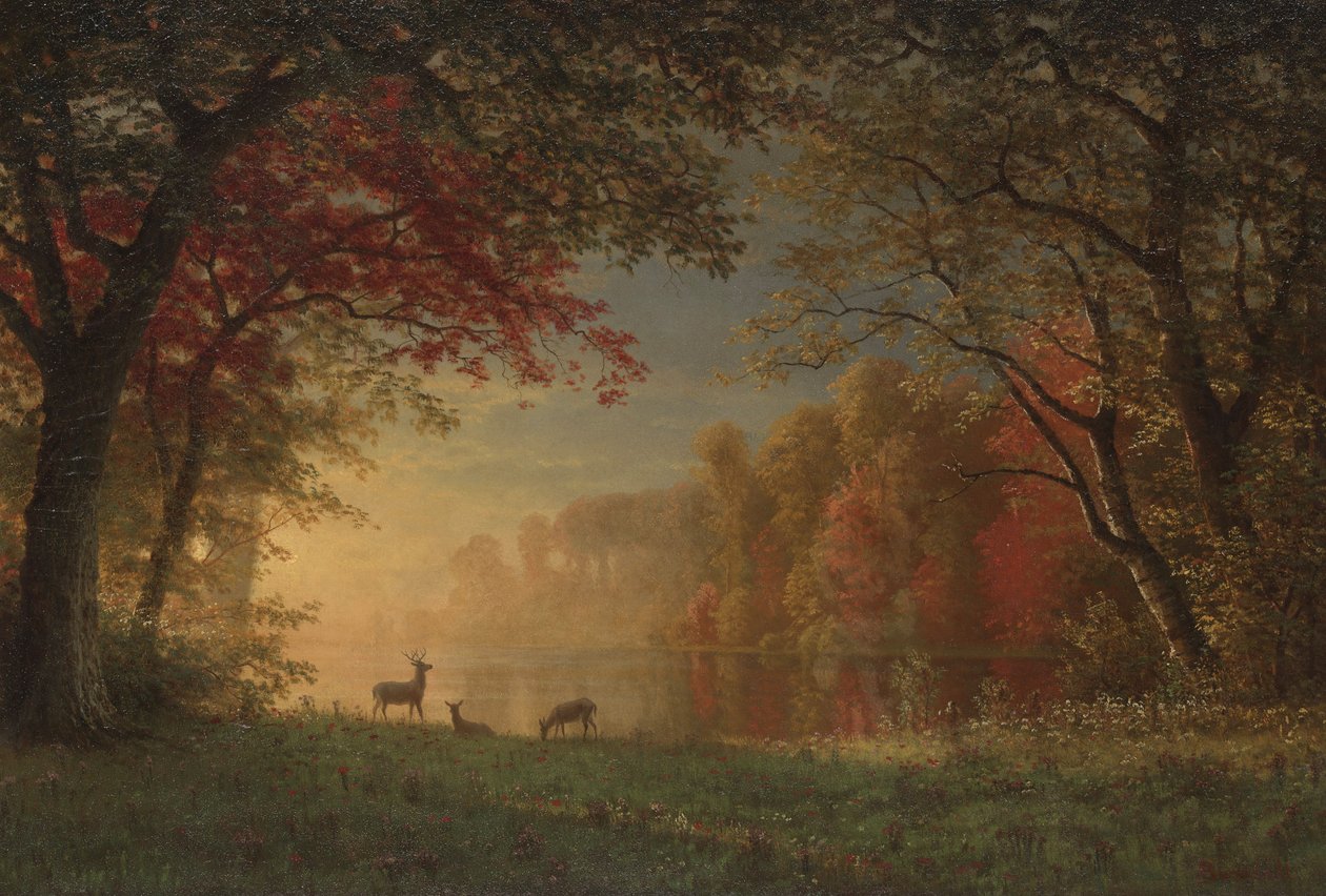 Indický západ slunce: Jelen u jezera, cca 1880-90 od Albert Bierstadt