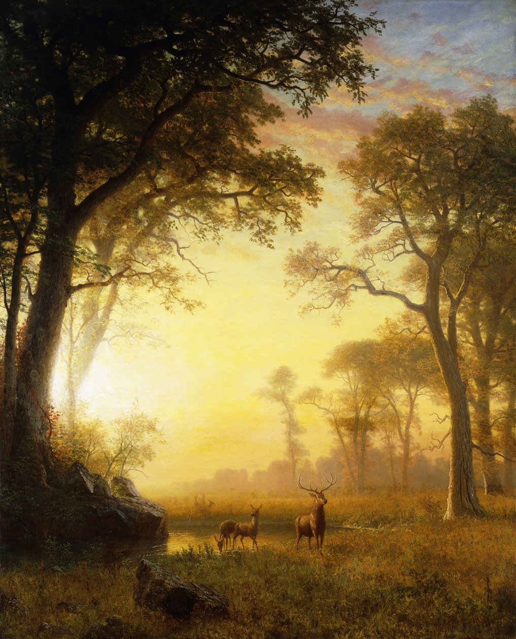 Světlo v lese, od Albert Bierstadt