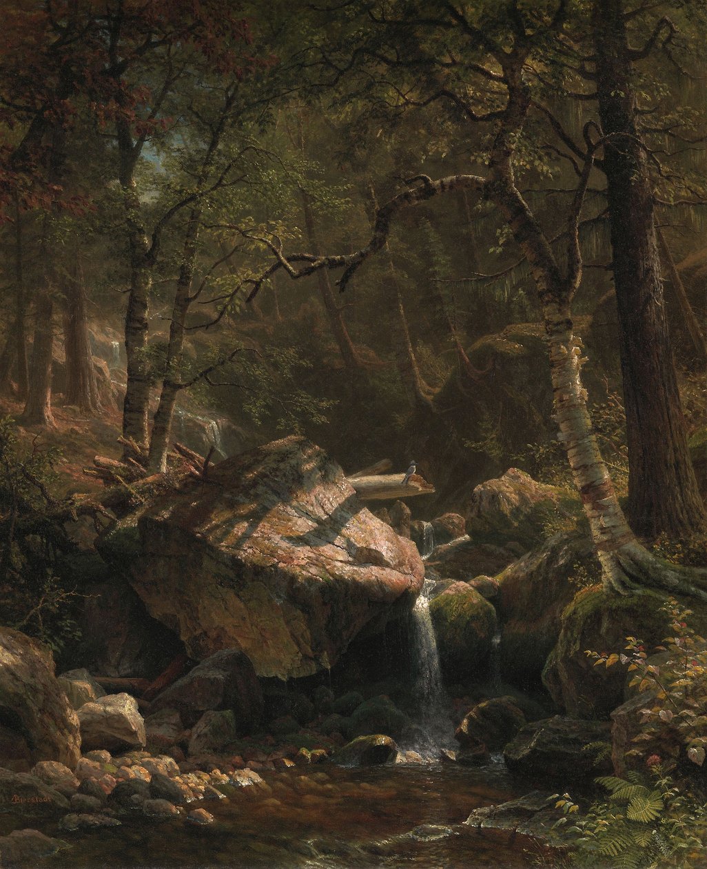 Mountain Brook od Albert Bierstadt