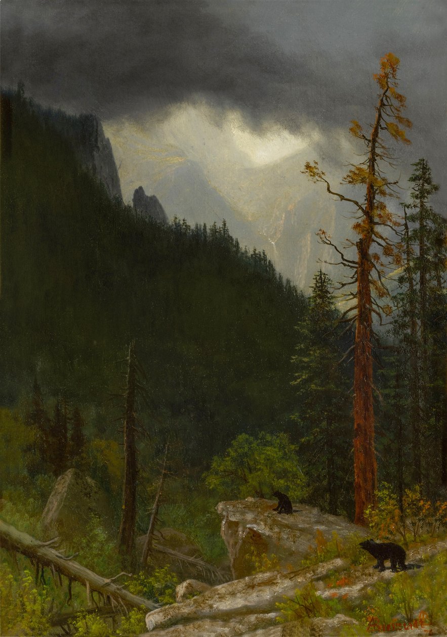 Skalisté hory po bouři od Albert Bierstadt