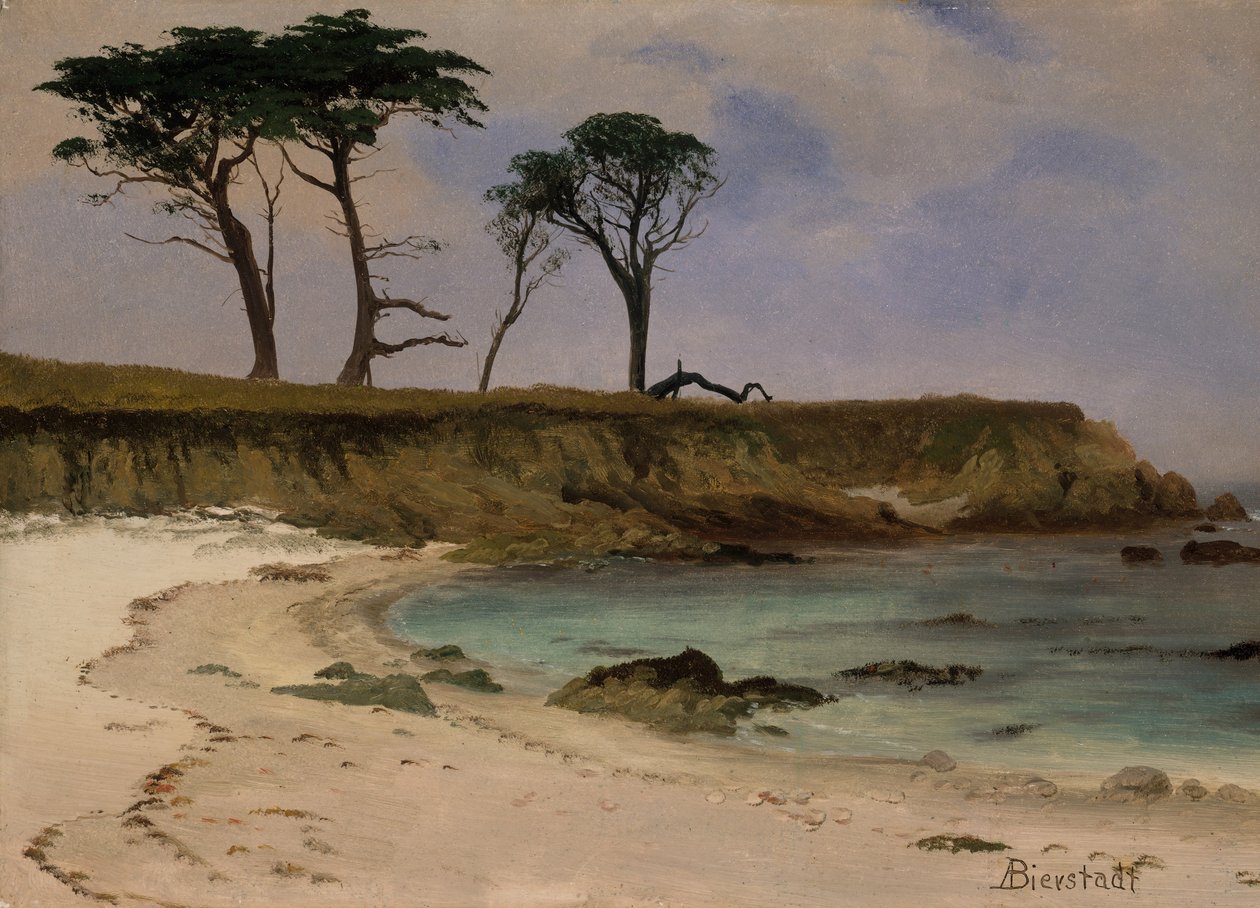 Sea Cove, ca. 1880-90. od Albert Bierstadt