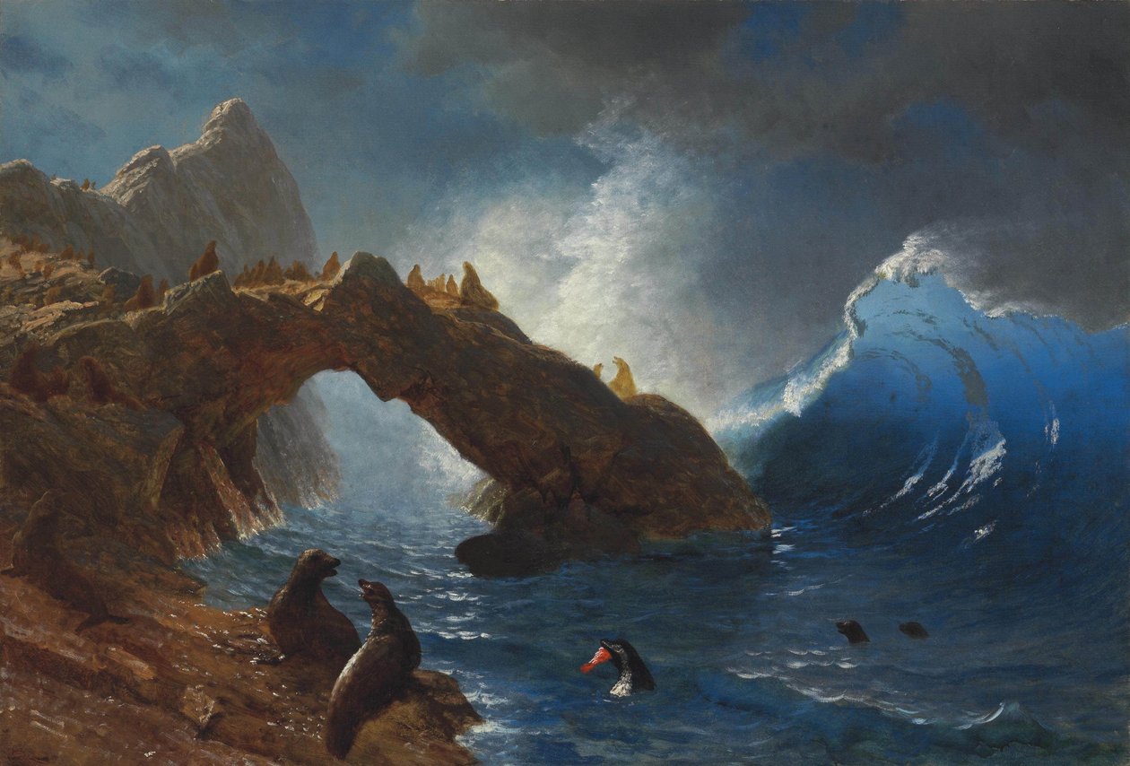 Tuleni na skalách od Albert Bierstadt