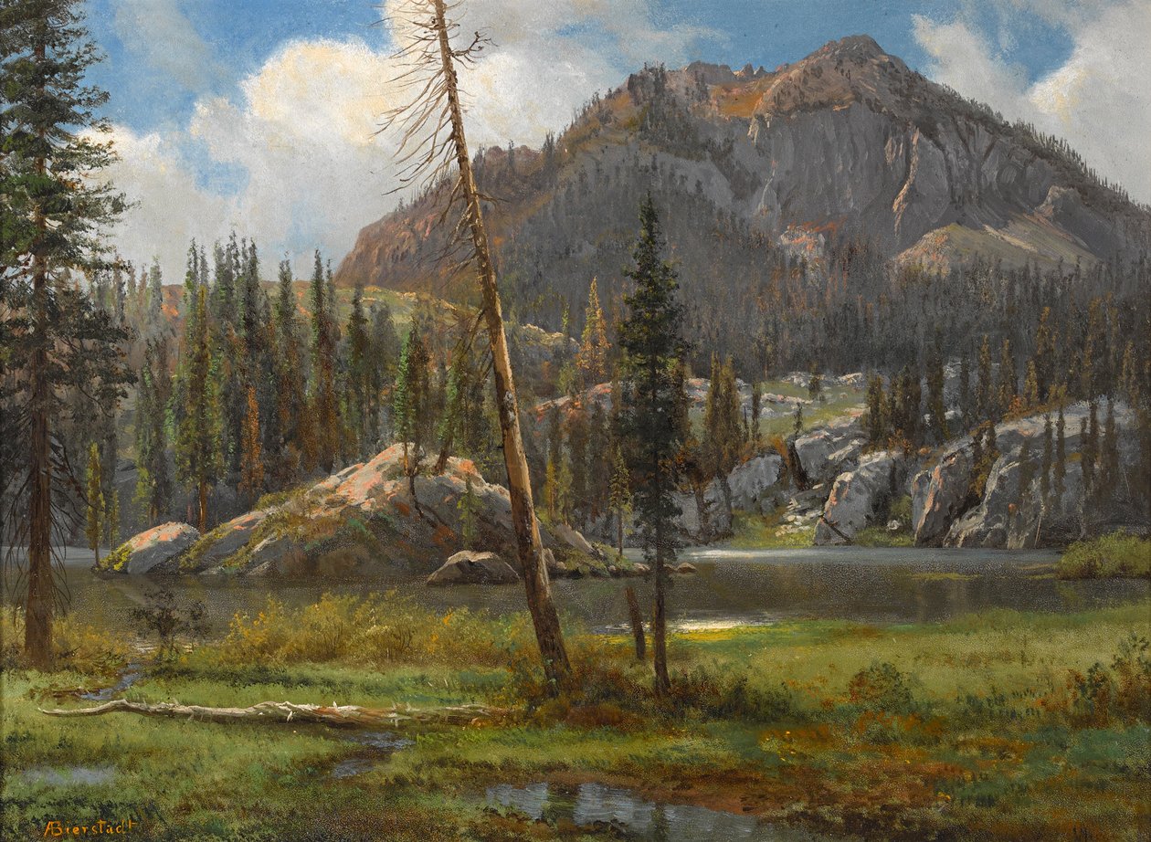 Jižní pohoří Sierra Nevada od Albert Bierstadt