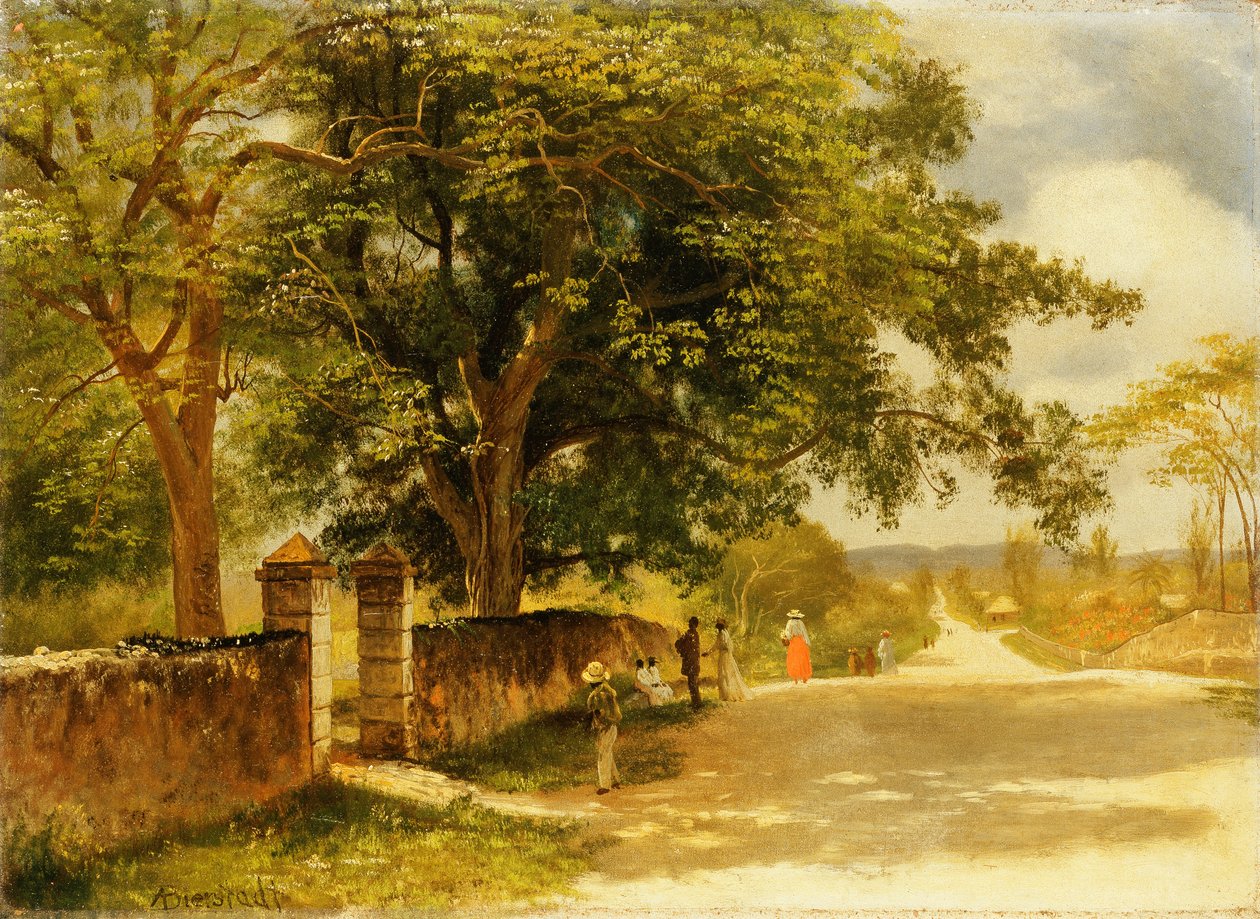 Ulice v Nassau, c.1878 od Albert Bierstadt