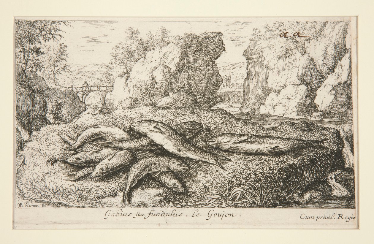 Gabius nebo Fundus. Le Goujon od Albert Flamen