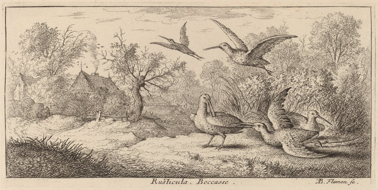 Rusticula, The Woodcock od Albert Flamen