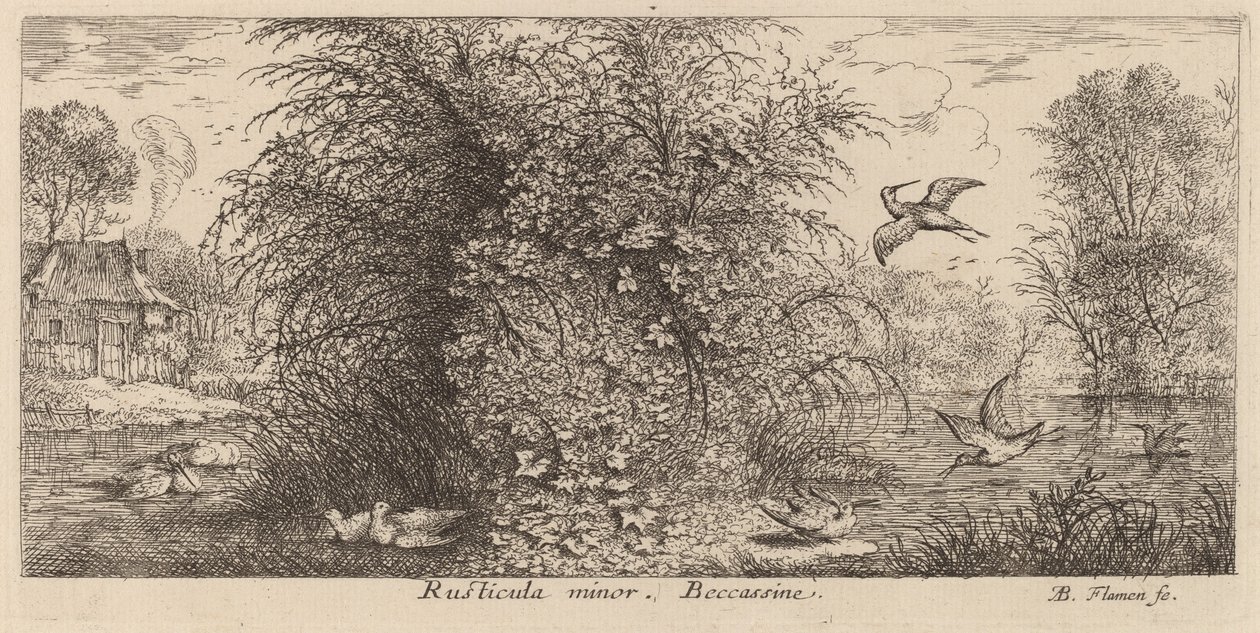 Rusticula minor, The Snipe od Albert Flamen
