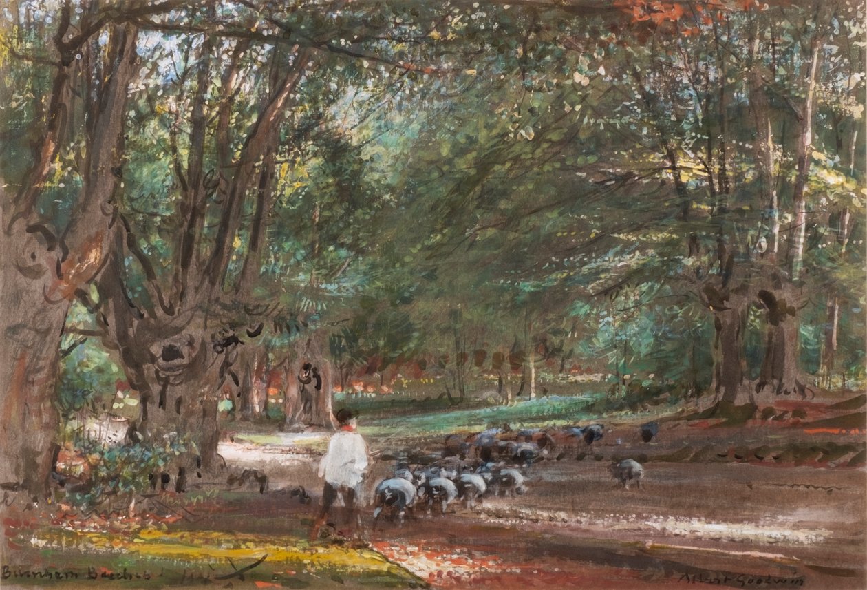 Burnham Beeches (akvarel a bodycolor) od Albert Goodwin