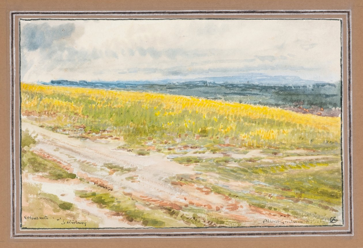 Barevná poznámka č. Salisbury (akvarel) od Albert Goodwin