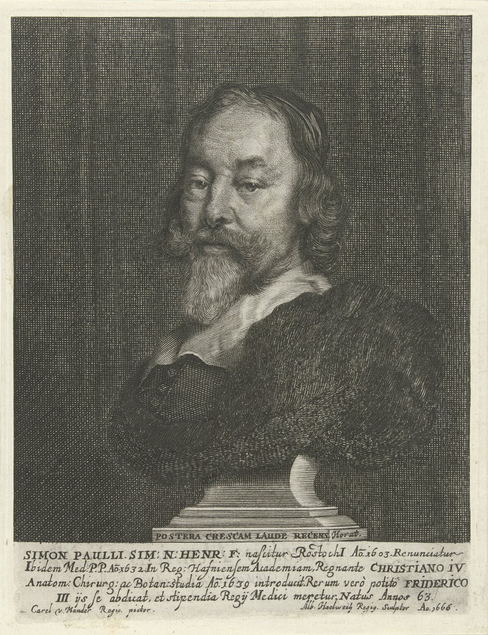 Buste van Simon Paulli od Albert Haelwegh