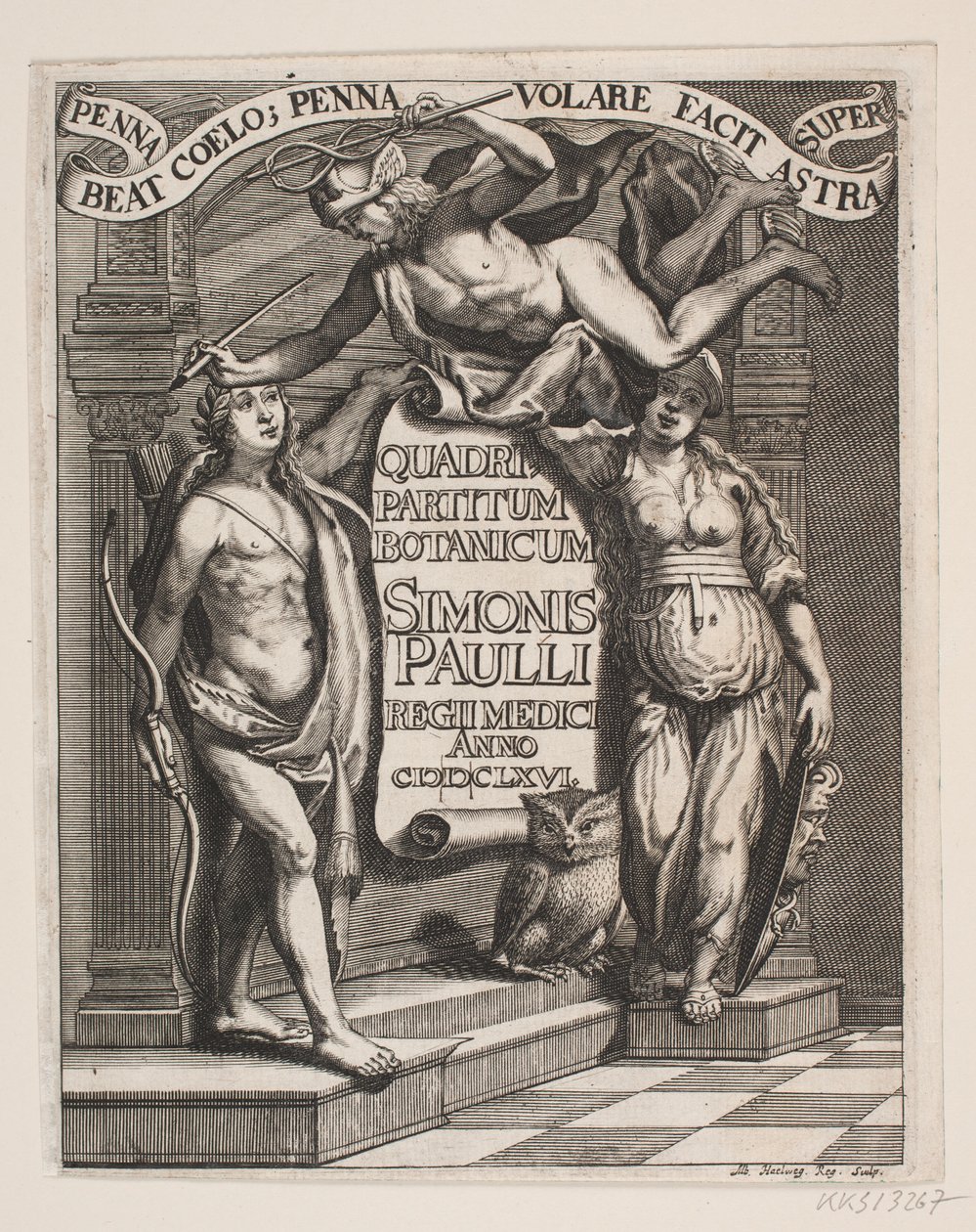 Titelblad til Simon Paulli, "Quadripartitum Botanicum", 1667 od Albert Haelwegh