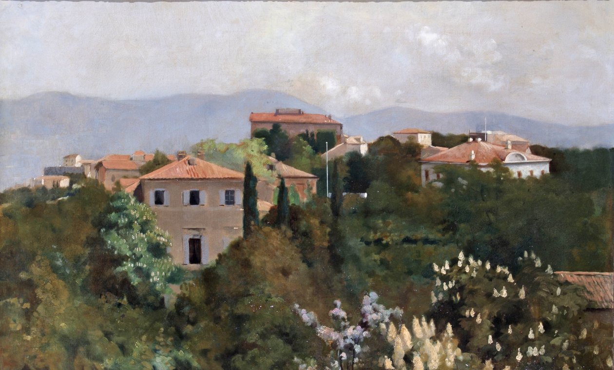 Domy na vrcholu kopce v Terstu, cca 1889 od Albert Letchford