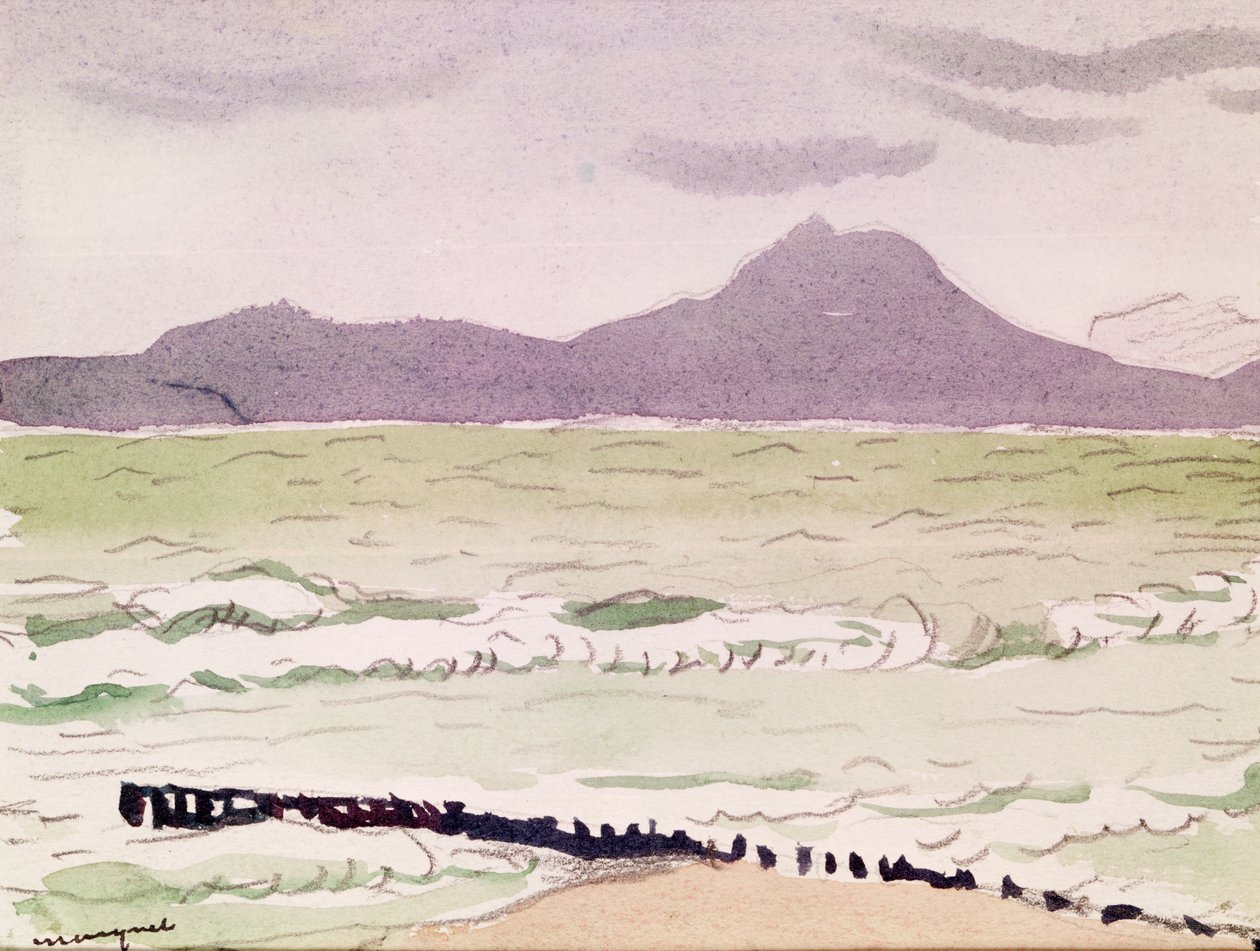 La Goulette od Albert Marquet