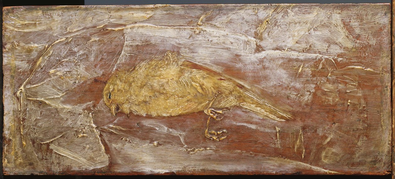Mrtvý pták od Albert Pinkham Ryder