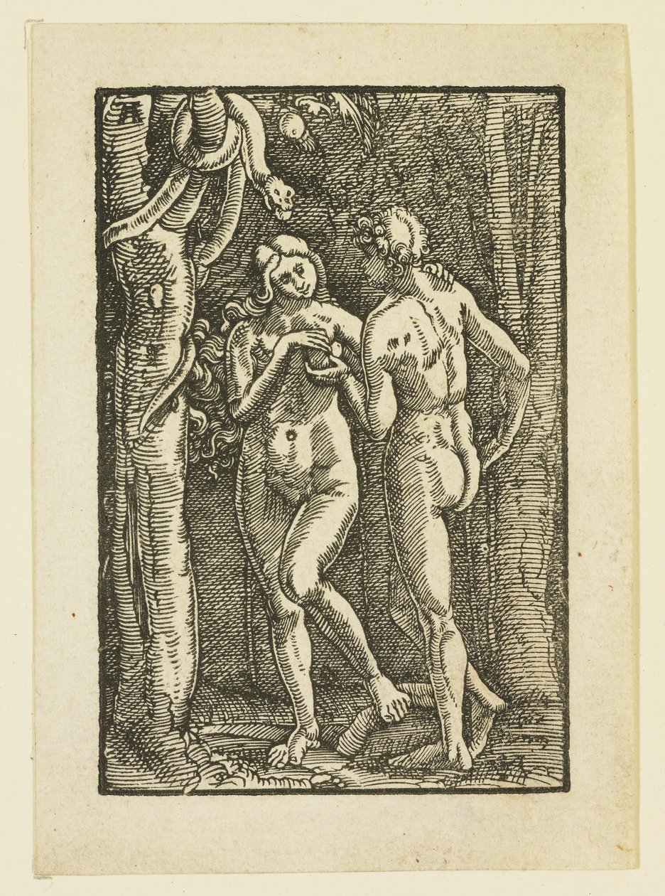 Adam a Eva jedí zakázané ovoce, cca 1513 od Albrecht Altdorfer
