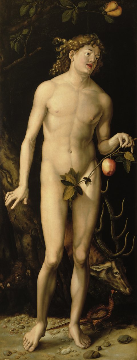 Adame od Albrecht Dürer