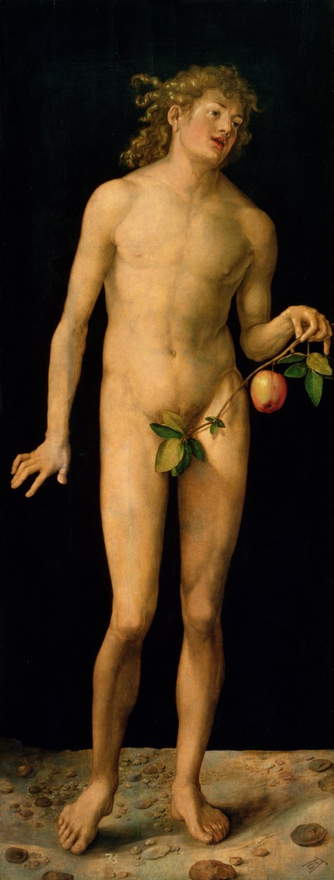 Adam, 1507 od Albrecht Dürer