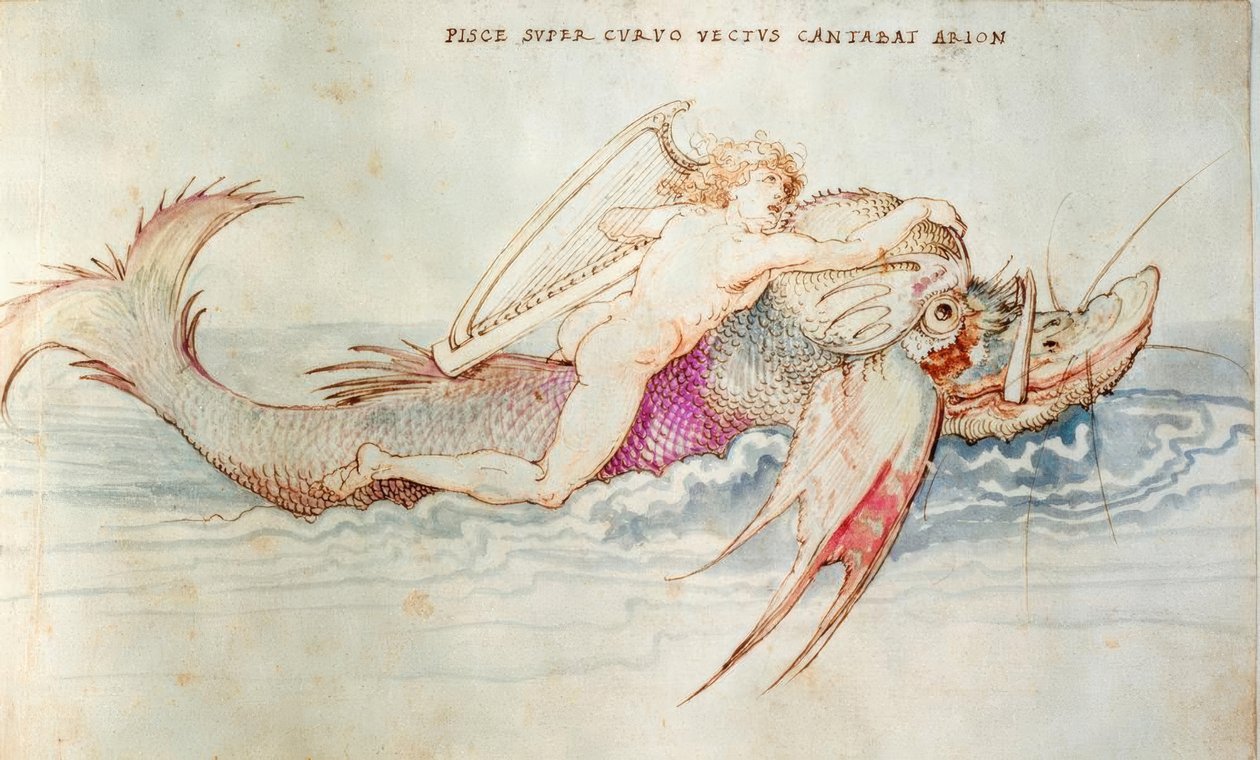 Arion je zachráněn delfínem od Albrecht Dürer